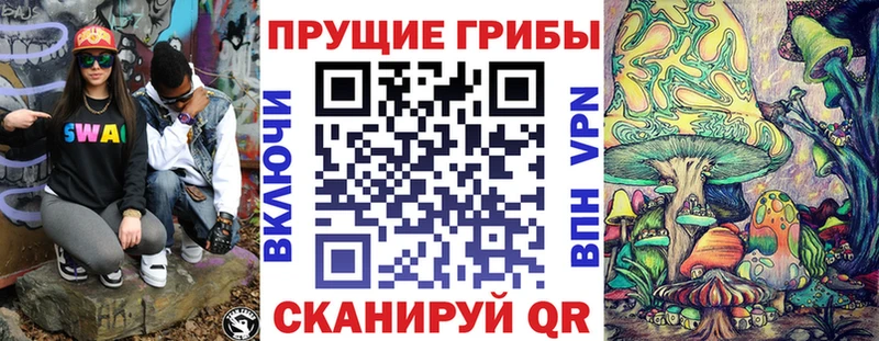 Псилоцибиновые грибы Psilocybine cubensis  Серов 